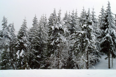 Similar image 8168858