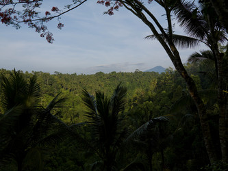 Similar image 8168865