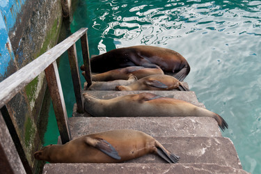 Similar image 8168900