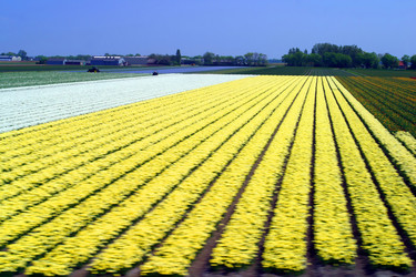 Similar image 8168914