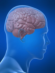 Similar image 8168933