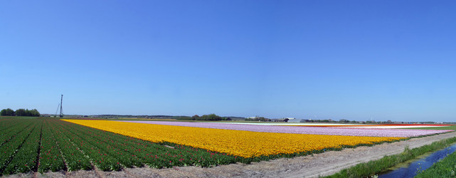 Similar image 8168973