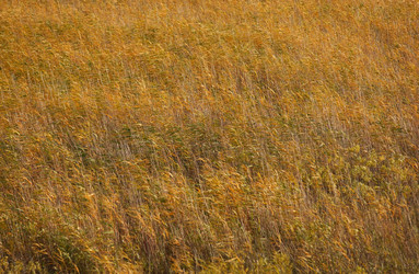 Similar image 8168988