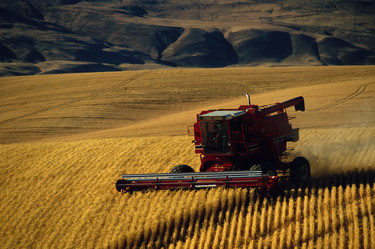 Similar image 8168989