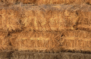 Similar image 8169000