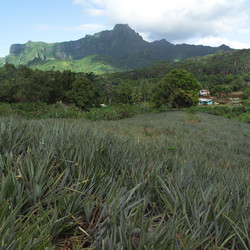 Similar image 8169025