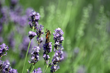 Similar image 8169028