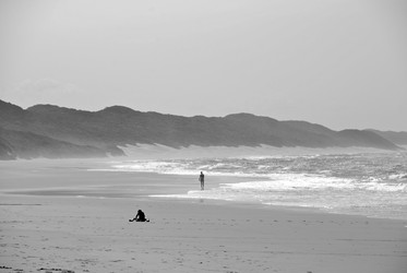 Similar image 8169031