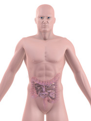 Similar image 8169036