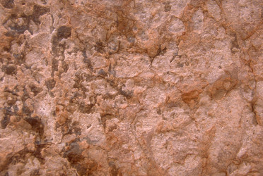 Similar image 8169043