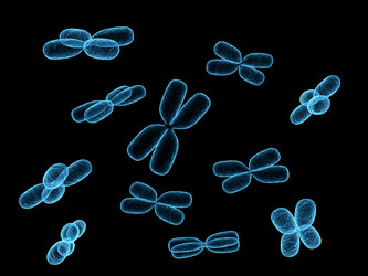 Similar image 8169050