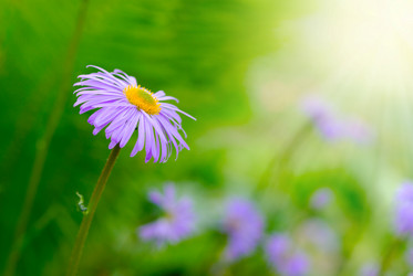 Similar image 8169062