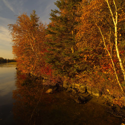 Similar image 8169085