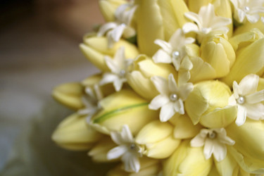 Similar image 8169086