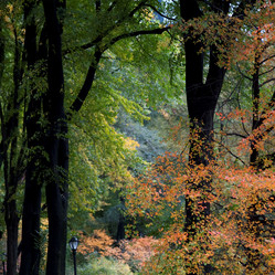 Similar image 8169096