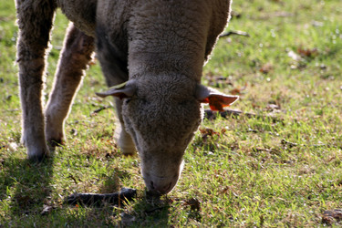 Similar image 8169100