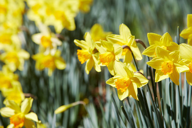 Similar image 8169107