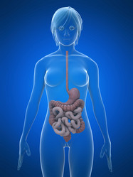 Similar image 8169115