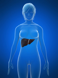 Similar image 8169131