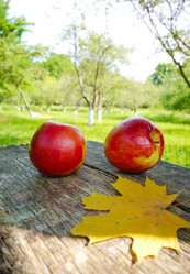 Similar image 8169137