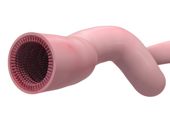 Similar image 8169139