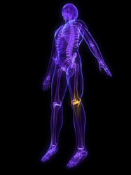 Similar image 8169147