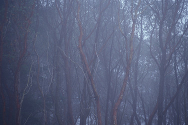 Similar image 8169156