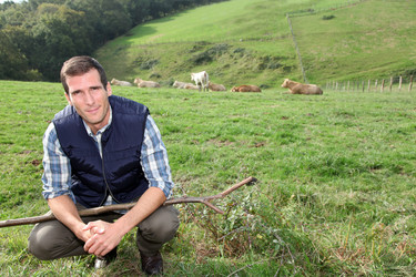 Similar image 8169169