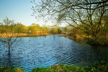 Similar image 8169183