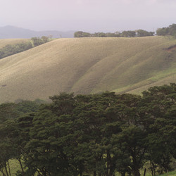 Similar image 8169185