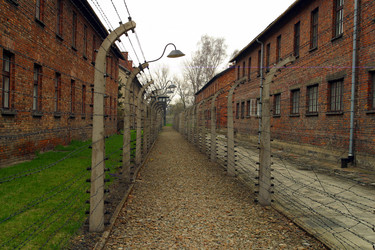 Similar image 8169209