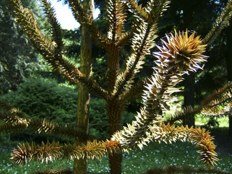 Similar image 8169220