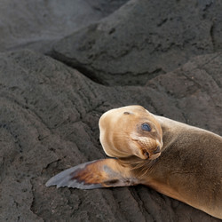 Similar image 8169222