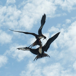 Similar image 8169230