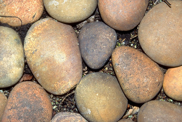 Similar image 8169235