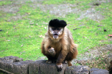 Similar image 8169236