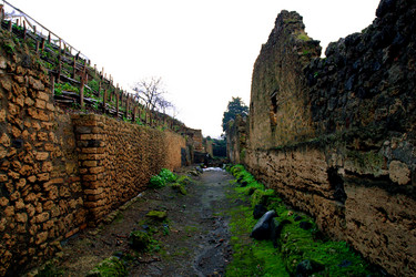 Similar image 8169244