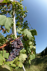 Similar image 8169248