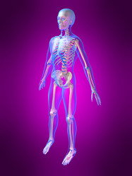 Similar image 8169307