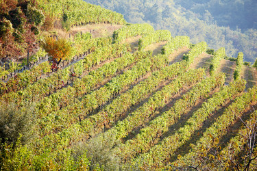 Similar image 8169311