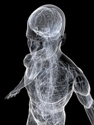 Similar image 8169316