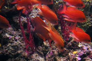 Similar image 8169317