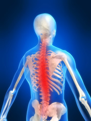 Similar image 8169318