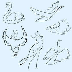 Similar image 8169326