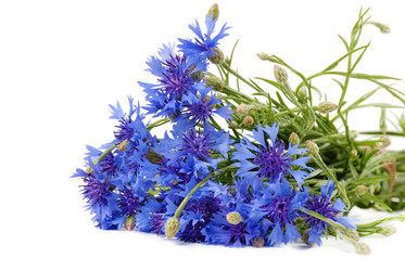 Similar image 8169399