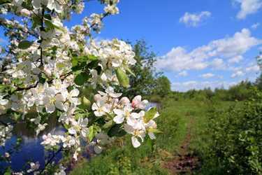 Similar image 8169412