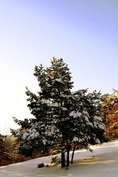 Similar image 8169448