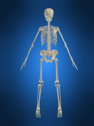 Similar image 8169451