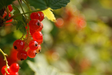 Similar image 8169576