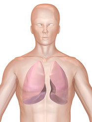 Similar image 8169601